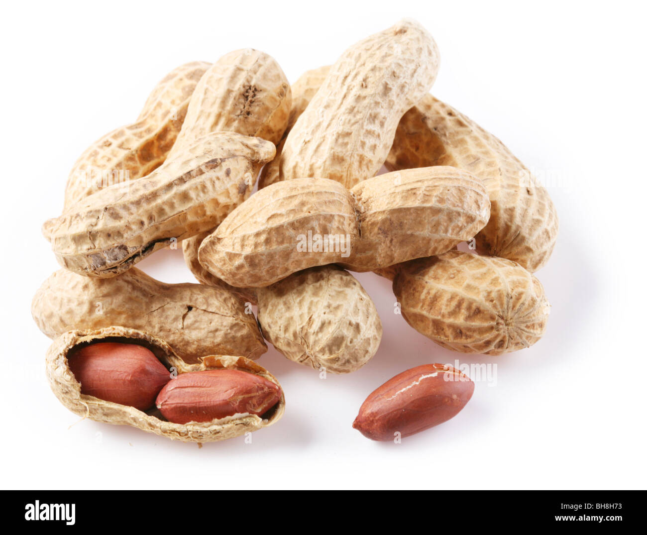 Erdnüsse in der Schale auf einem weißen Hintergrund Stockfoto