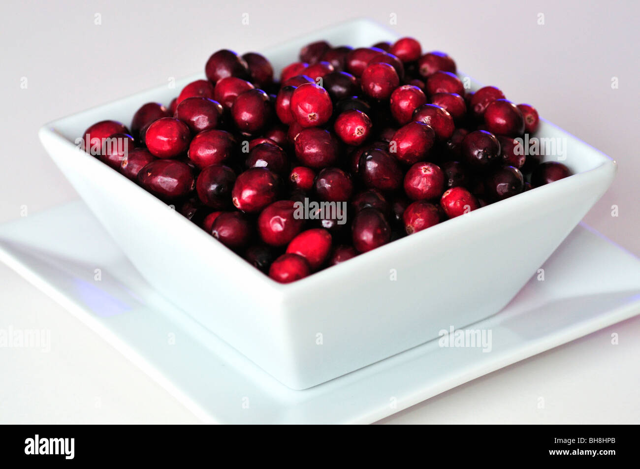 Ungekochte frische Cranberries in weiße Schale Stockfoto