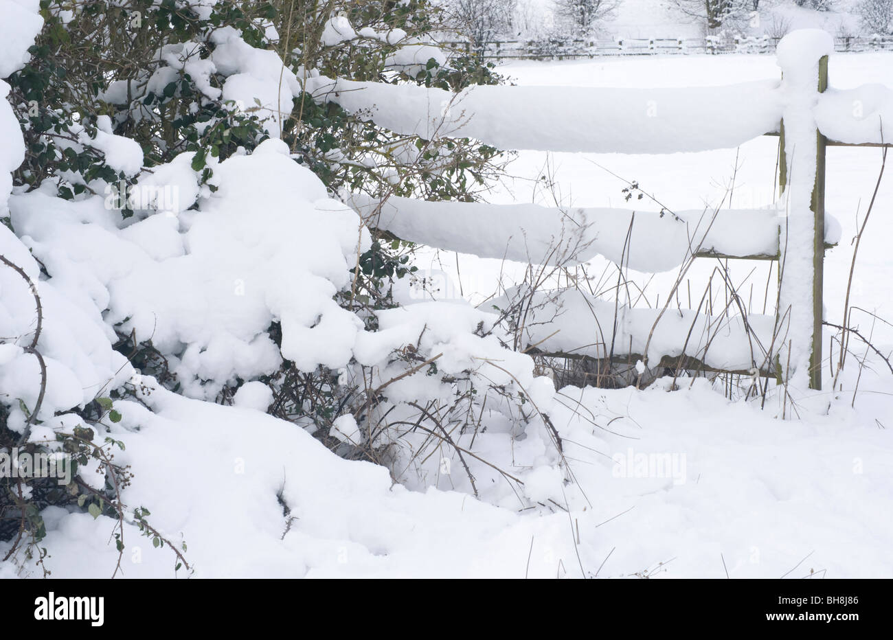 Eine schneebedeckte Zaun entlang der Ridgeway Path in Chilterns in der Nähe von Aston Rowan, Oxfordshire Stockfoto