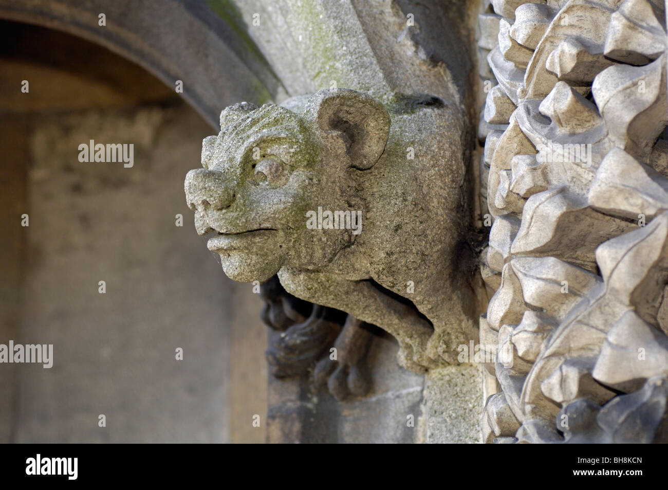 Wasserspeier an der Kirche St Mary Redcliffe, Bristol Stockfoto