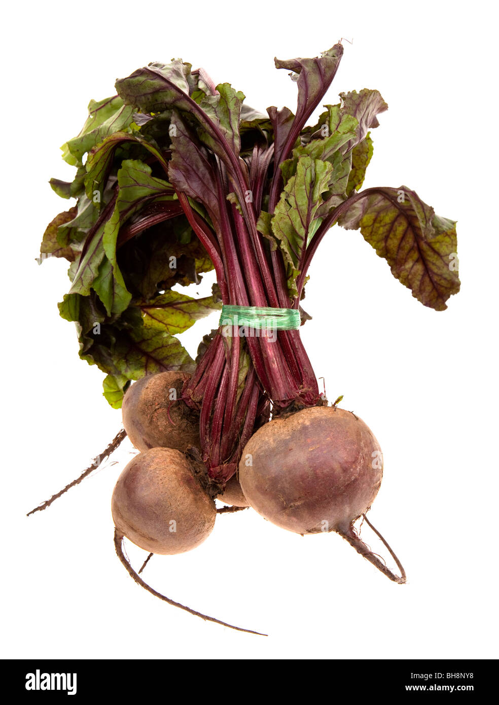 Reihe von rote Beete aus Ländermarkt gebunden mit Ballenpresse Bindfäden UK Stockfoto