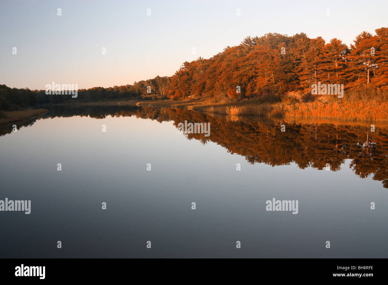 Big Sable River in Ludington State Park Stockfoto