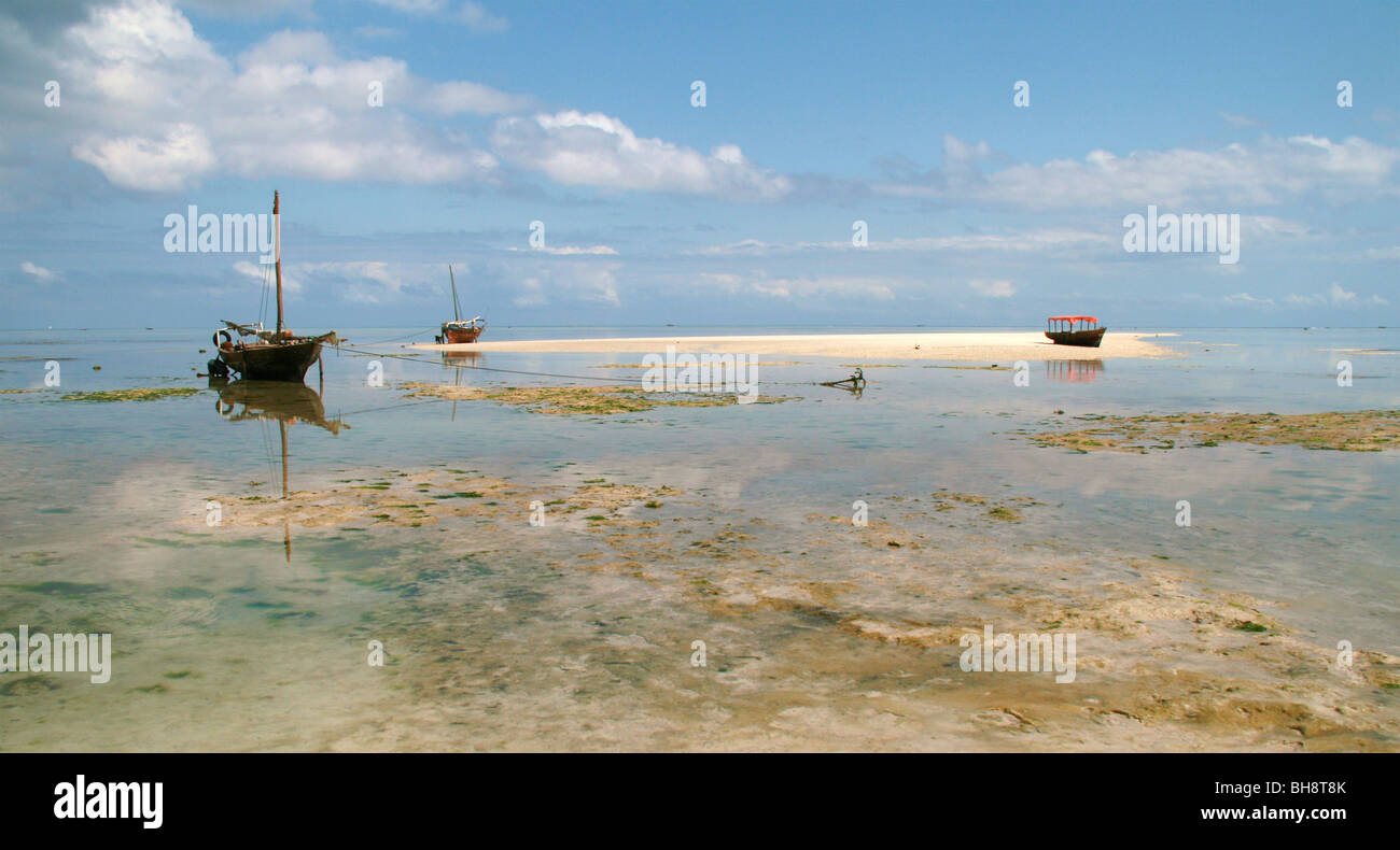 Inseln im Meer, Sand Spieß ergibt sich bei Ebbe zwischen den Fels-Pools und Algen, wie Fischerboote sind geerdet, Sansibar Stockfoto