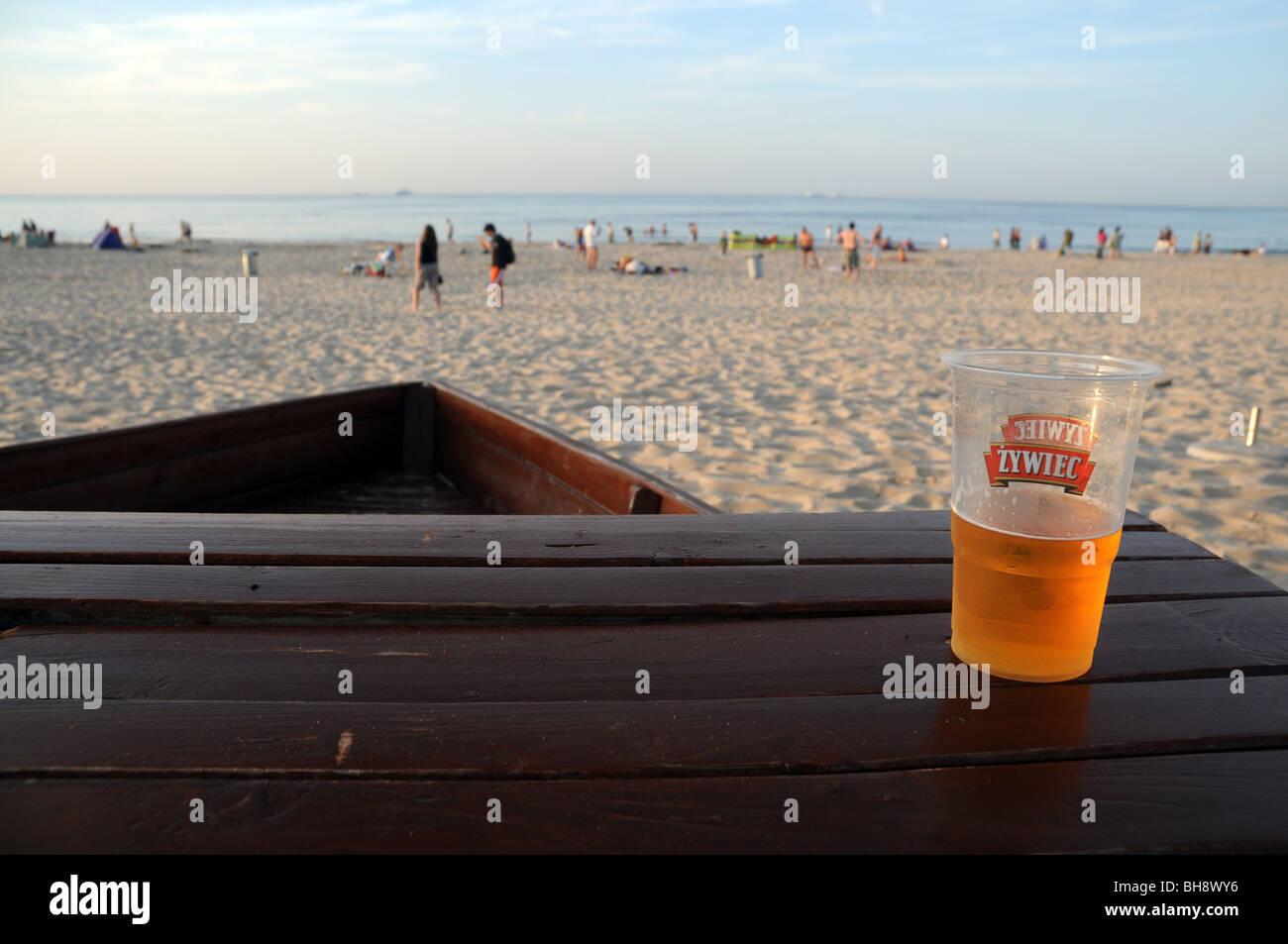 Polnische Zywiec Bier im Plastikbecher auf dem Tisch im Pub Strand an der Ostsee, Swinoujscie, Polen Stockfoto