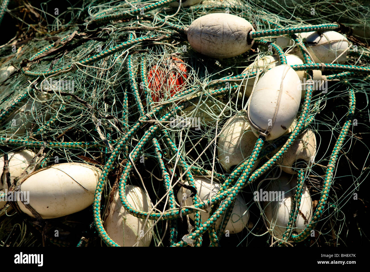 Nahaufnahme von Fischernetzen, Squalicum Hafen, Bellingham, Washington, USA Stockfoto