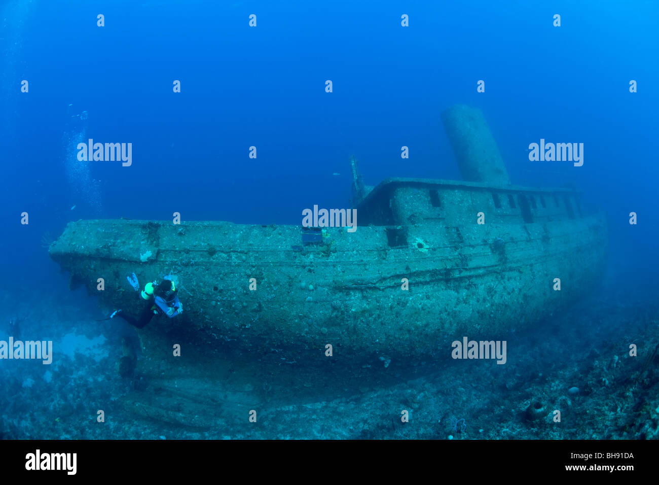 Taucher am Wrack der Virgen de Altagracia, Santa Lucia, Karibik, Kuba Stockfoto