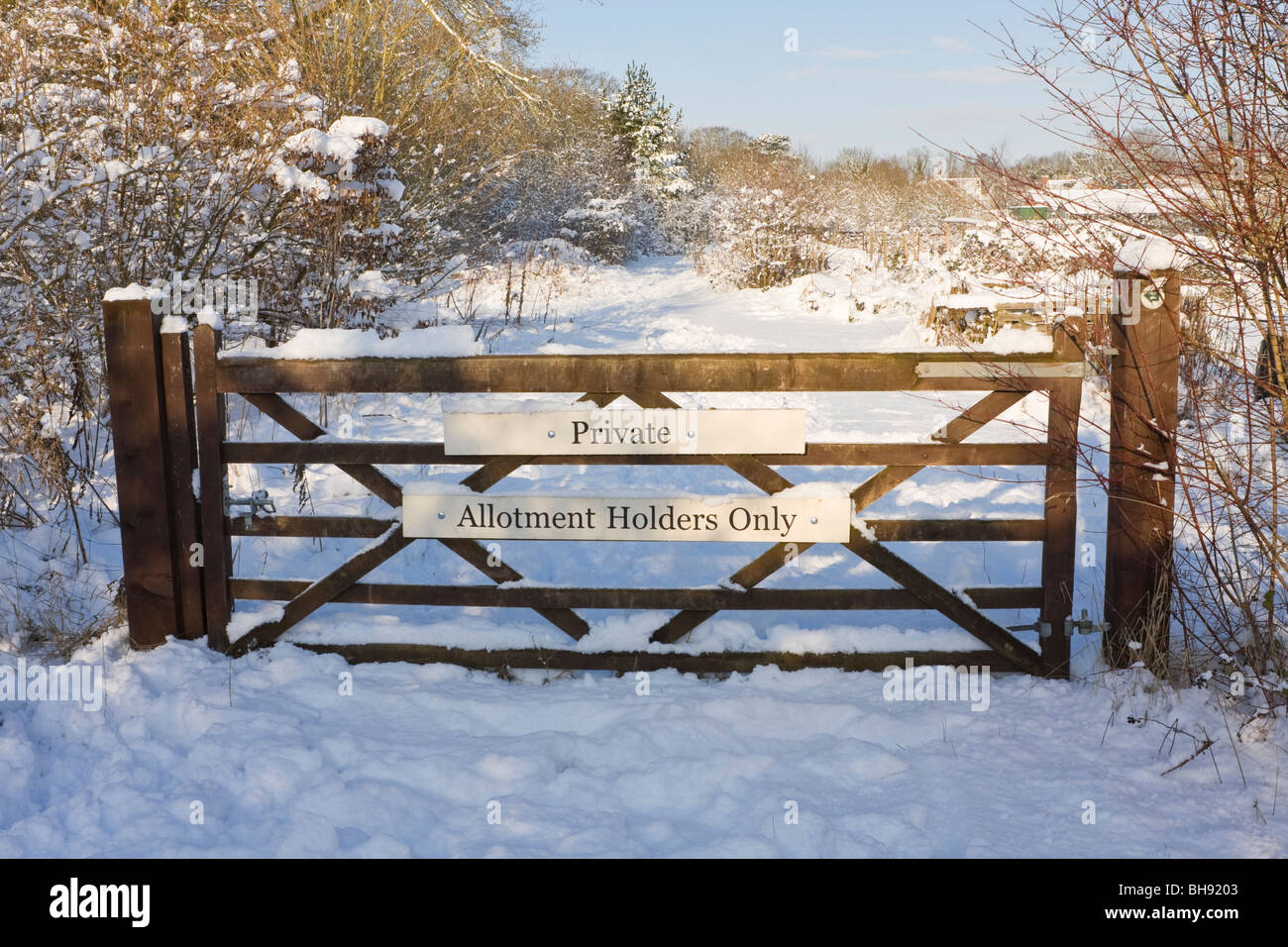 5 bar Tor zum Kleingärten im Schnee Stockfoto