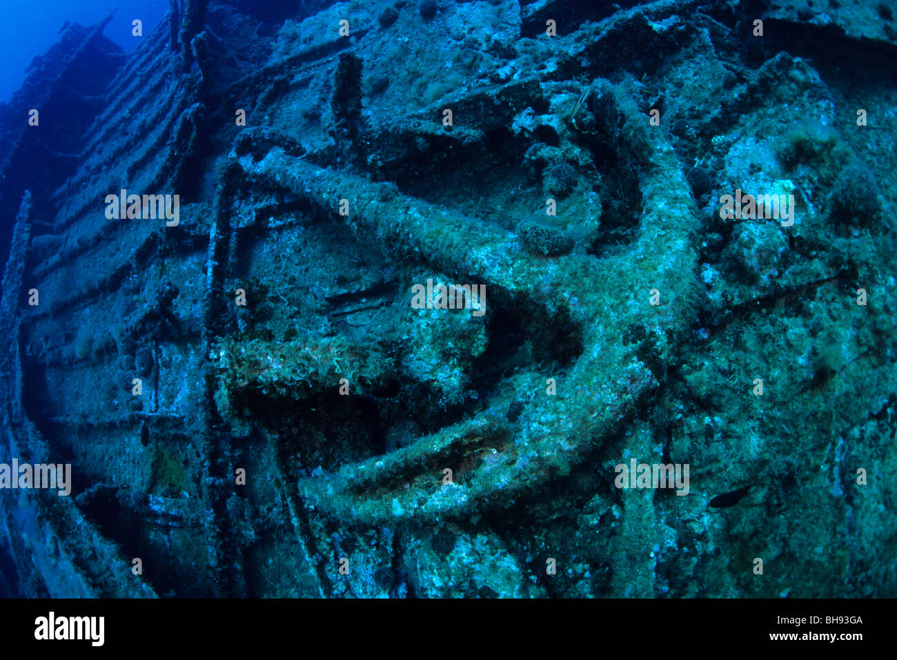 Wrack im Wasser von Palagruza, Insel Palagruza, Adria, Kroatien Stockfoto