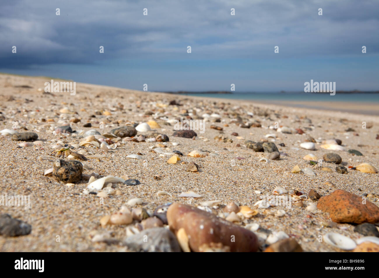 Shell Beach Herm Island Stockfoto