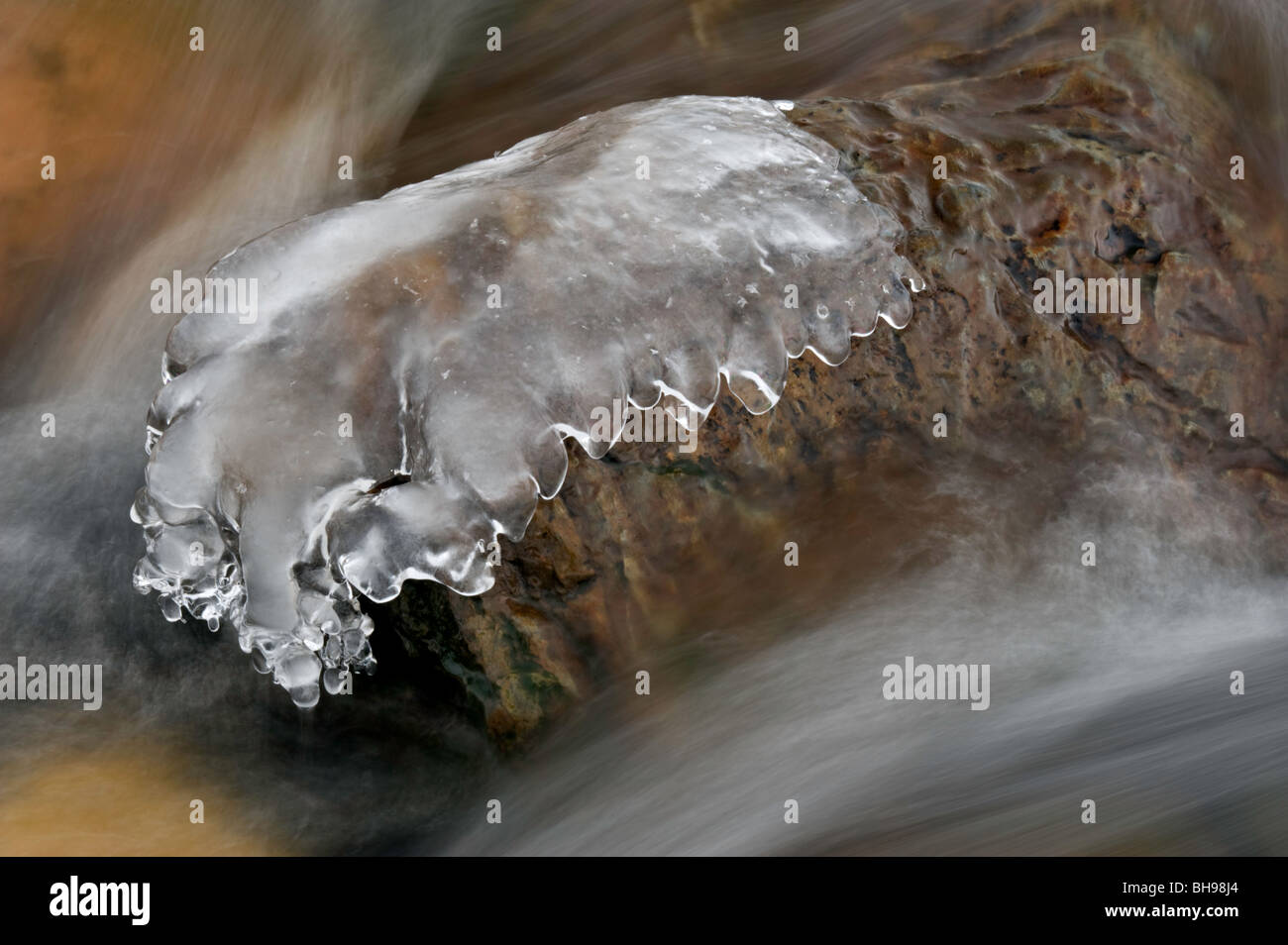 Eis-Formationen, fließendes Wasser und Luftblasen am Rand des Junction Creek, Greater Sudbury, Ontario, Kanada Stockfoto