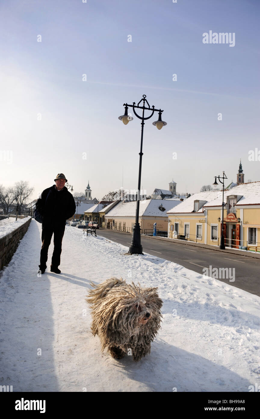 Winter Szene In Szentendre Ungarn Mit Einem Mann Zu Fuss Ein Traditioneller Ungarischer Puli Schaferhund Stockfotografie Alamy