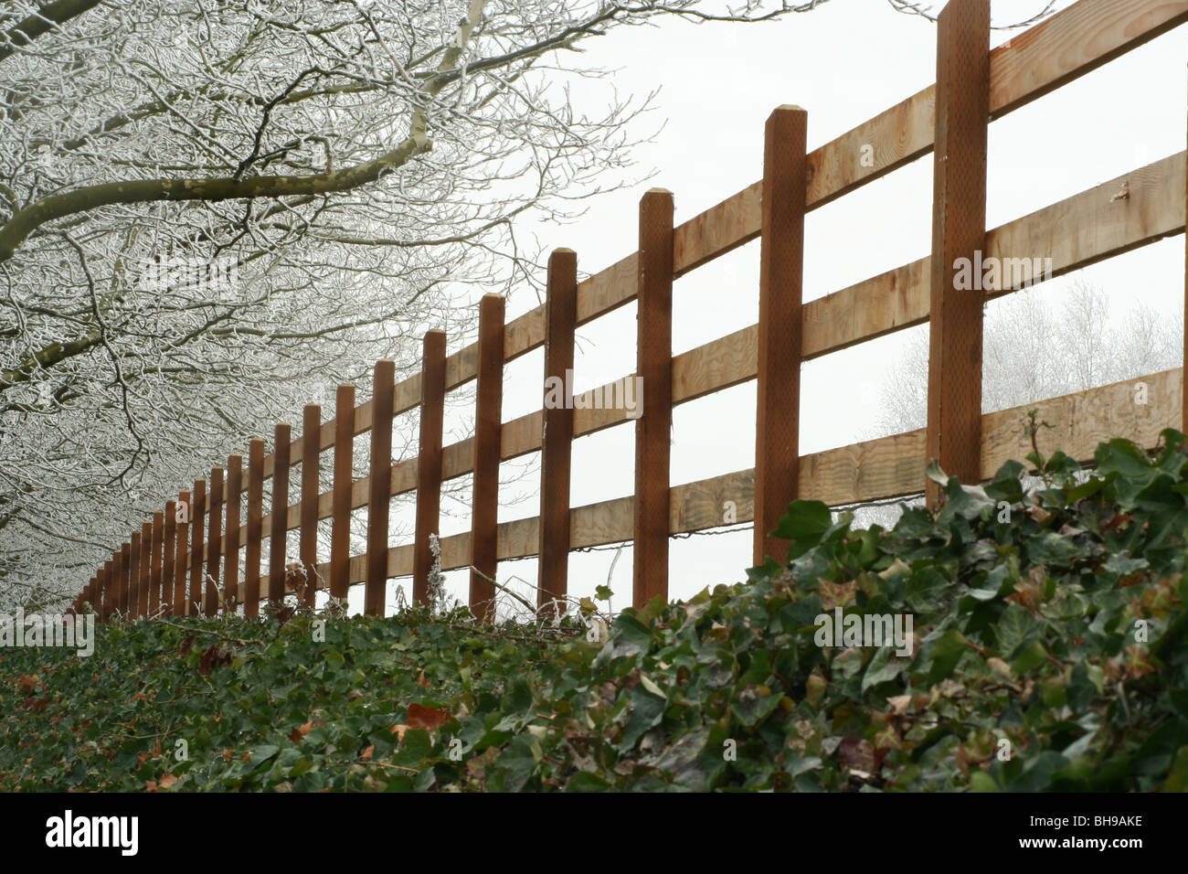 Bild einer malerischen Winterlandschaft in Oregon Stockfoto