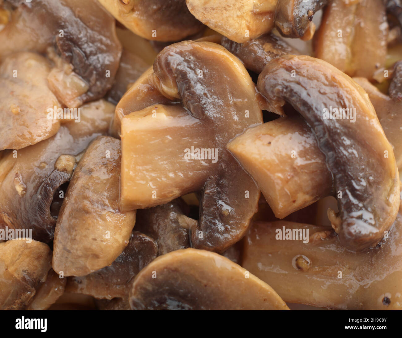 Sautierten pilzen -Fotos und -Bildmaterial in hoher Auflösung – Alamy