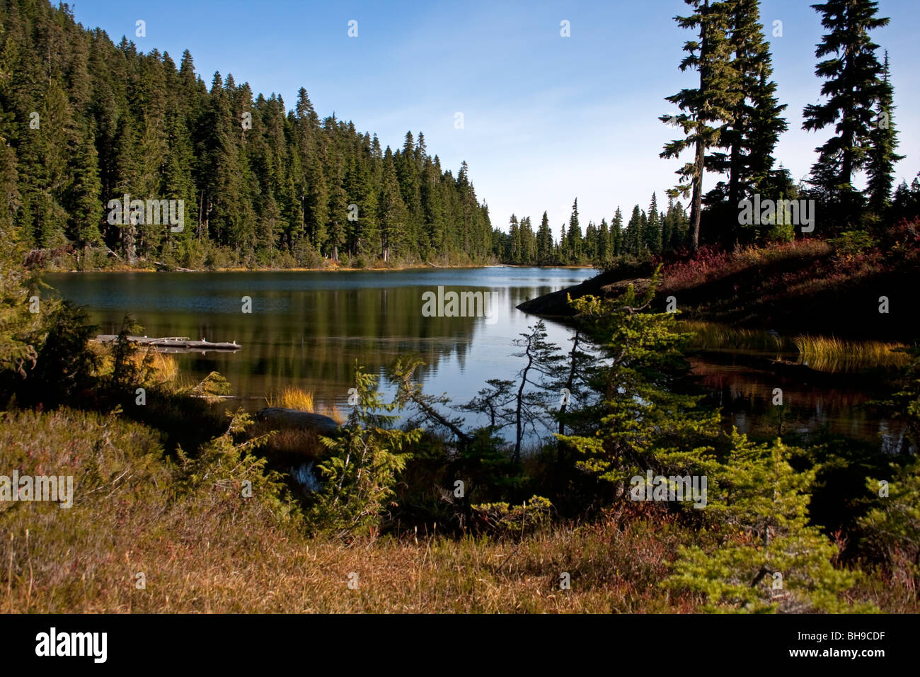 Lady Lake an der verbotenen Plateau Strathcona Park Vancouver Island BC Canada im Oktober Stockfoto