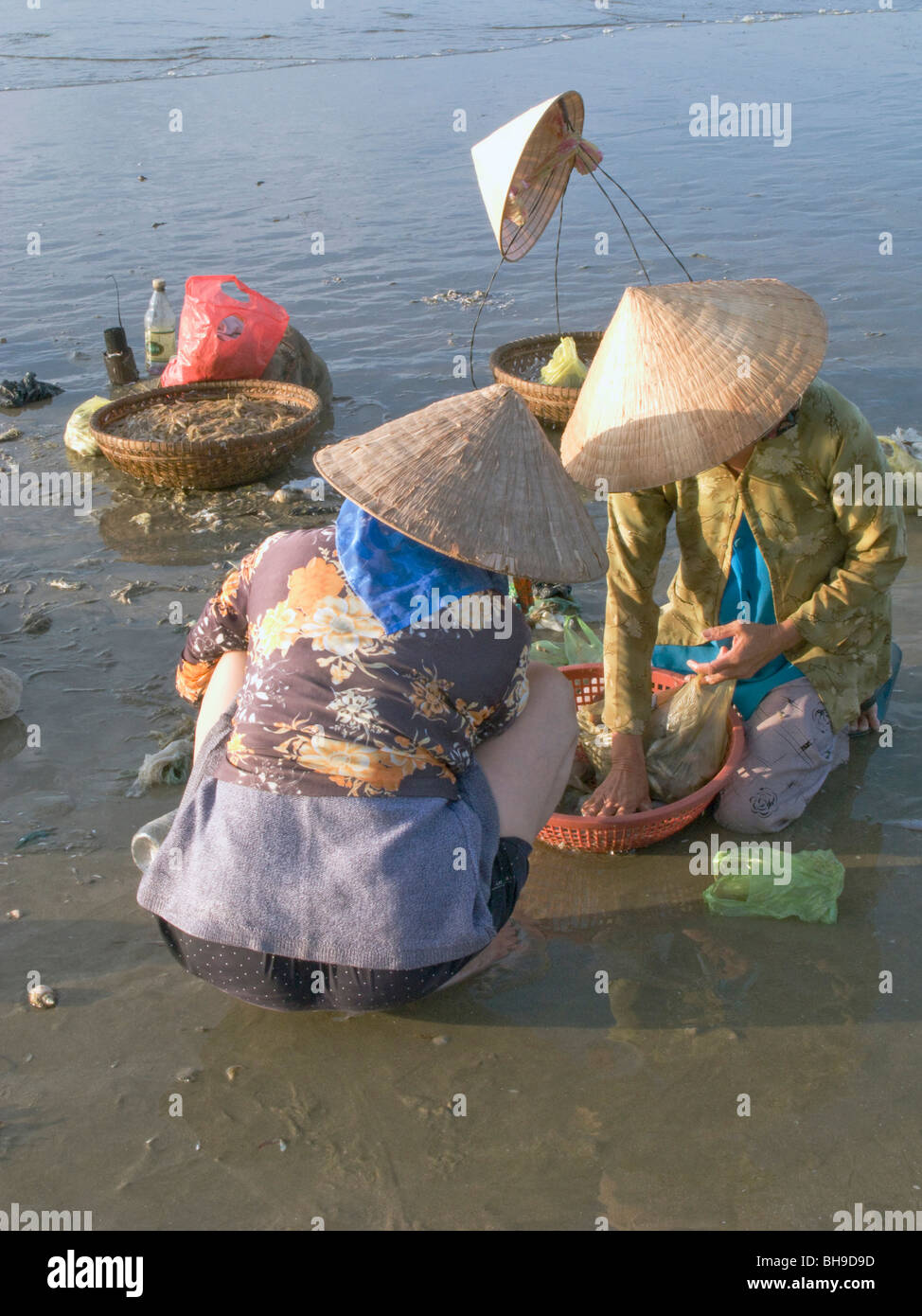 VIETNAM Frauen aus Fischerei Genossenschaft arbeiten in der Nähe von MUI NE Foto © Julio Etchart Stockfoto