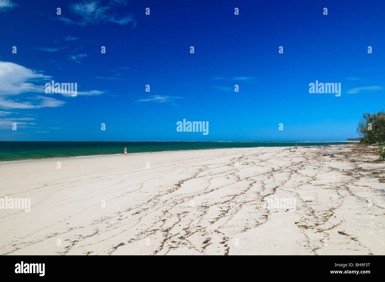 NORTH Stradbroke Island, Australien - Der weiße Sandstrand von Amity Punkt straft seinen Ruf als Standort für mehrere Haiattacken North Stradbroke Island, nur von Queenslands Hauptstadt Brisbane, ist der weltweit zweitgrößte Sand Insel und mit seinen kilometerlangen Sandstrände, die im Sommer ein beliebtes Urlaubsziel. Stockfoto