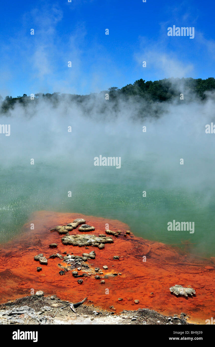 Der Champagne Pool am Wai O Tapu thermal Wonderland, in der Nähe von Rotorua, Neuseeland, Nordinsel Stockfoto