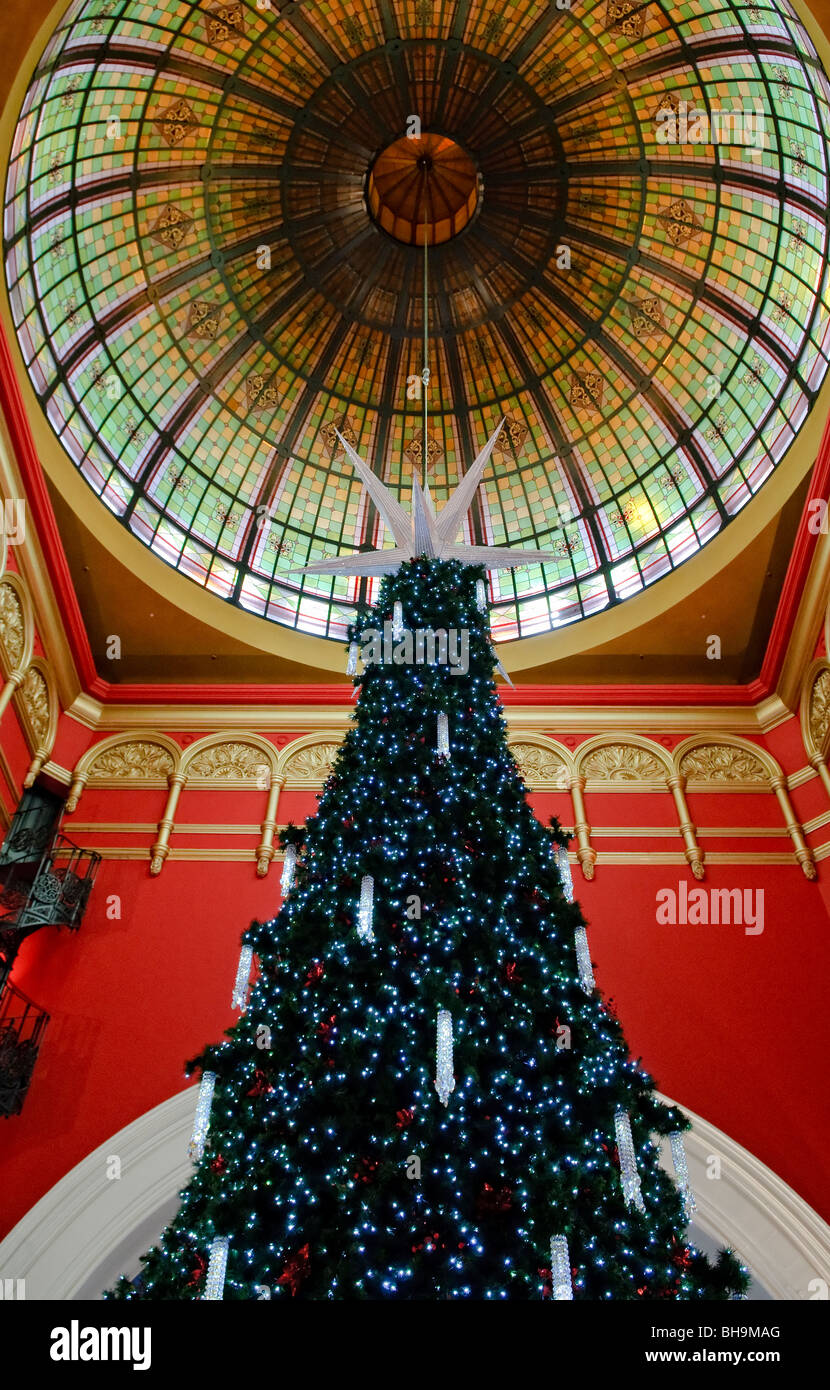 Queen Victoria Building Christmas Tree Sydney Australia // SYDNEY, Australien – großer, mehrstöckiger Weihnachtsbaum in Sydneys Einkaufspassage Queen Victoria Building mit dem gewölbten Buntglasfenster über dem Haus. Das Queen Victoria Building, ein berühmtes architektonisches Meisterwerk, steht majestätisch im Herzen von Sydney. Dieses im späten 19. Jahrhundert erbaute Gebäude im romanischen Stil beherbergt eine Reihe von exklusiven Geschäften, Cafés und Boutiquen. Das große Innere des Gebäudes verfügt über atemberaubende Buntglasfenster, komplizierte Fliesen und eine prächtige zentrale Kuppel, was es zu einem beliebten Reiseziel macht Stockfoto
