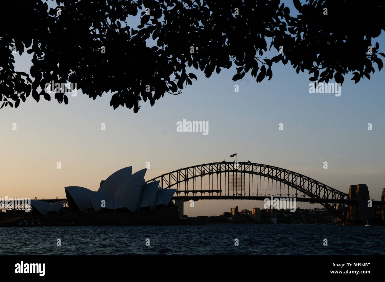 SYDNEY, Australien - Sydney, Australien - Sydney Opera House und der Sydney Harbour Bridge silhoutte mit Bäumen Framing der Ansicht von Frau von Macquarie Point Stockfoto