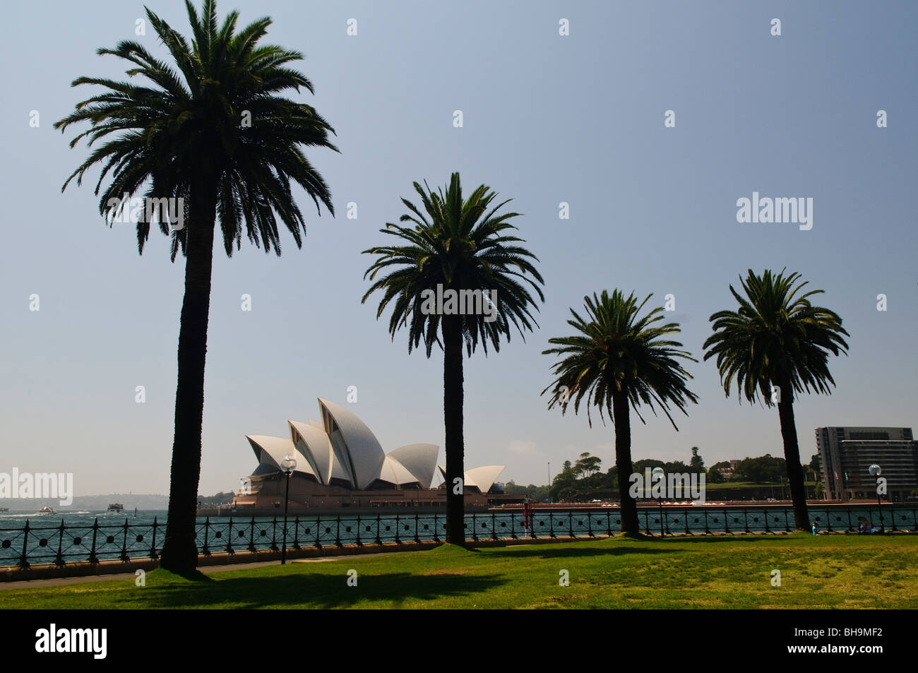 Sydney Opera House Palm Trees Dawes Point Park Sydney // SYDNEY, Australien – Sydney Opera House eingerahmt von Palmensilhouetten im Dawes Point Park im historischen Rocks District. Dieser legendäre Blick fängt die lebhafte Atmosphäre des Hafens von Sydney an einem klaren Tag ein. Stockfoto Sydney Opera House Palm Trees Dawes Point Park Sydney // SYDNEY, Australien – Sydney Opera House eingerahmt von Palmensilhouetten im Dawes Point Park im historischen Rocks District. Dieser legendäre Blick fängt die lebhafte Atmosphäre des Hafens von Sydney an einem klaren Tag ein. Stockfoto