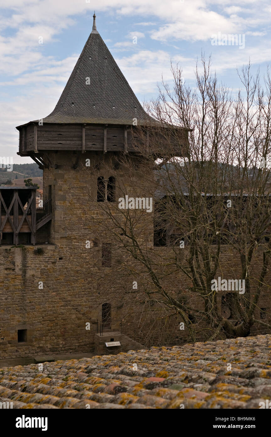 Le Chateau de Carcassone (Burg von Carcassonne) Stockfoto