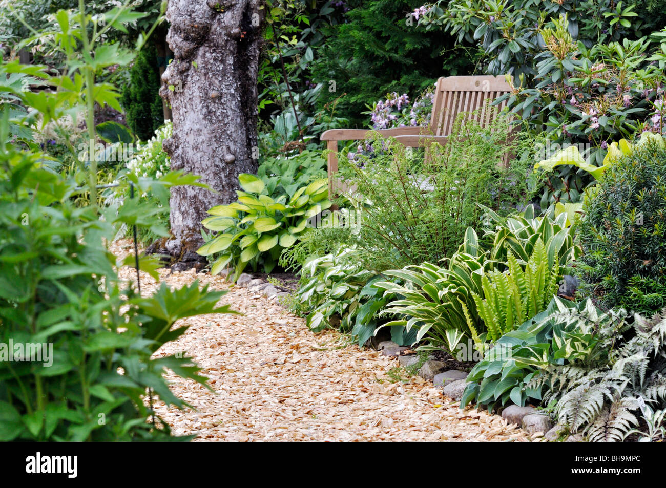 Schattigen Garten mit funkien und Farne. Design: Marianne und Detlef lüdke Stockfoto