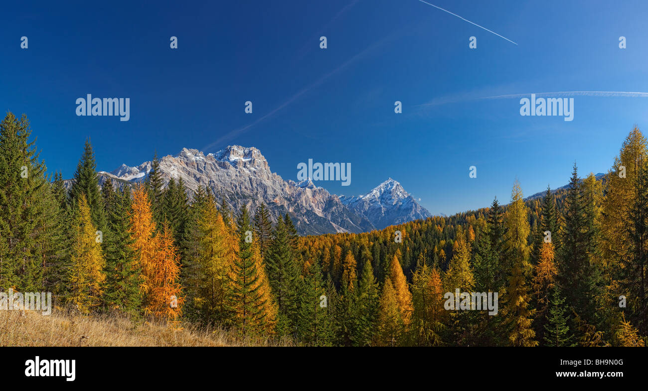 Panoramablick auf Marmarole-Berge in der Nähe von Cortina d ' Ampezzo durch die Kiefern, die im Herbst mit rot gefärbt Stockfoto