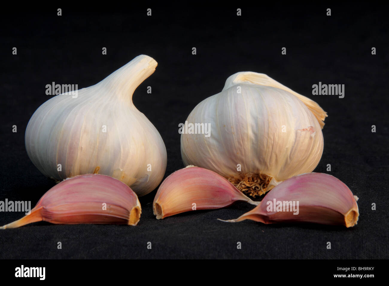 Knoblauchzehen und Zwiebel Stockfoto