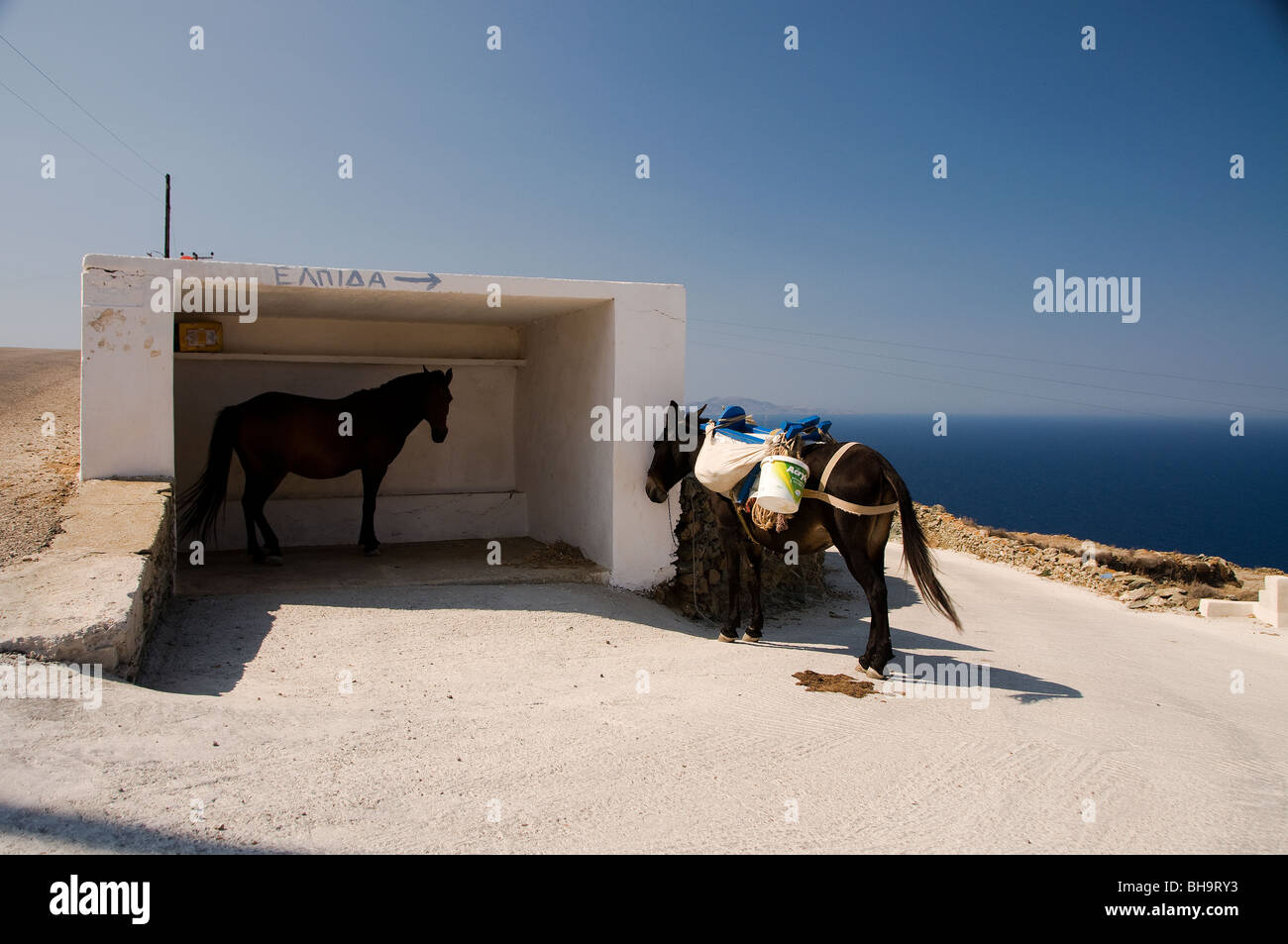 Landschaftlich von den Kykladen Insel Folegandros in Griechenland.  Maultiere und Esel sind immer noch sehr viel verwendet. Stockfoto