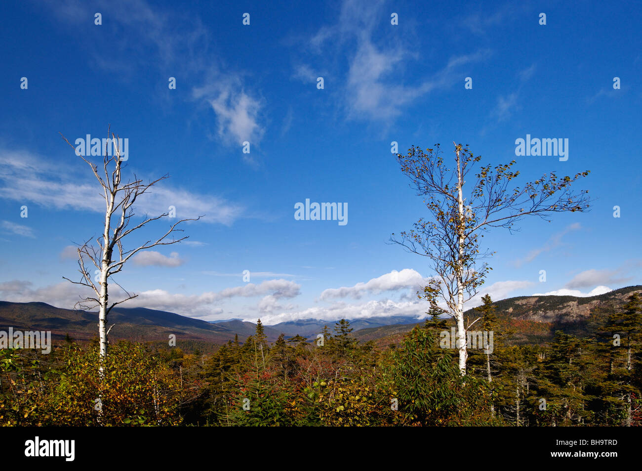 Herbst Farbe in den White Mountain National Forest von der Pemigewasset Aussichtspunkt in Grafton County, New Hampshire Stockfoto