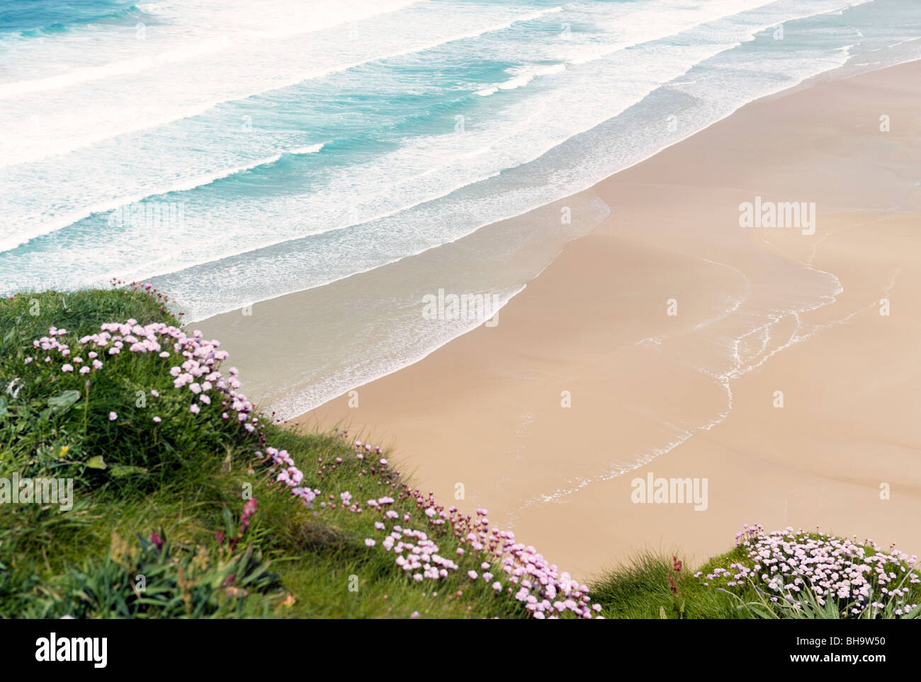 Wellen auf sauber verlassenen leeren Sandstrand Sommerstrand von oben. Meer pinks Blumen im Vordergrund. Stockfoto