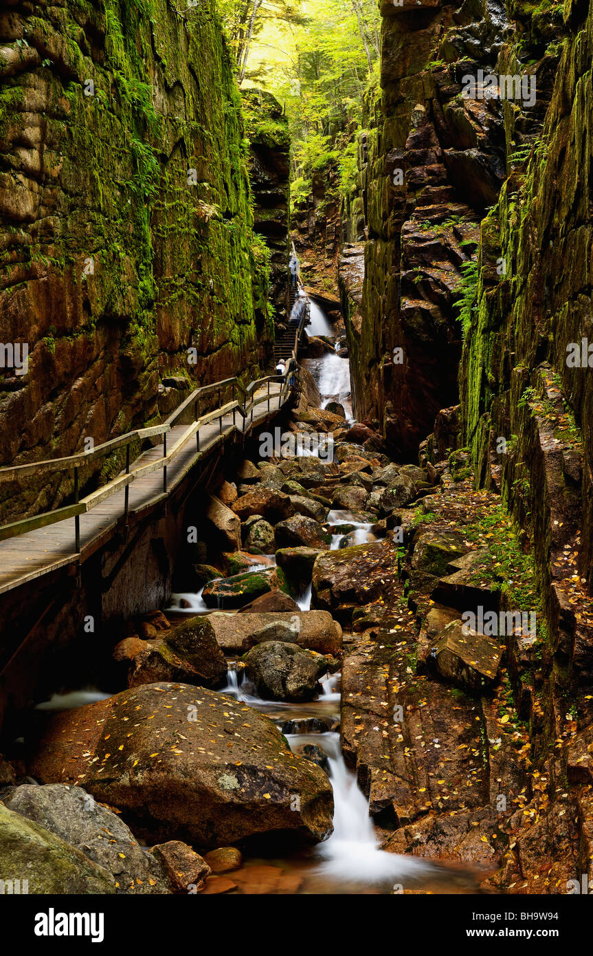 Flume Gorge im Franconia Notch State Park in Grafton County, New Hampshire Stockfoto