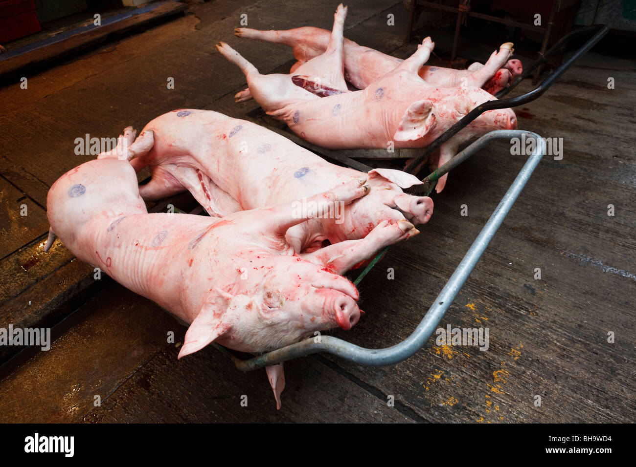 Geschlachteten Schweine außerhalb einer Metzgerei auf der Wanchai Road Strassenmarkt in Hong Kong. Stockfoto