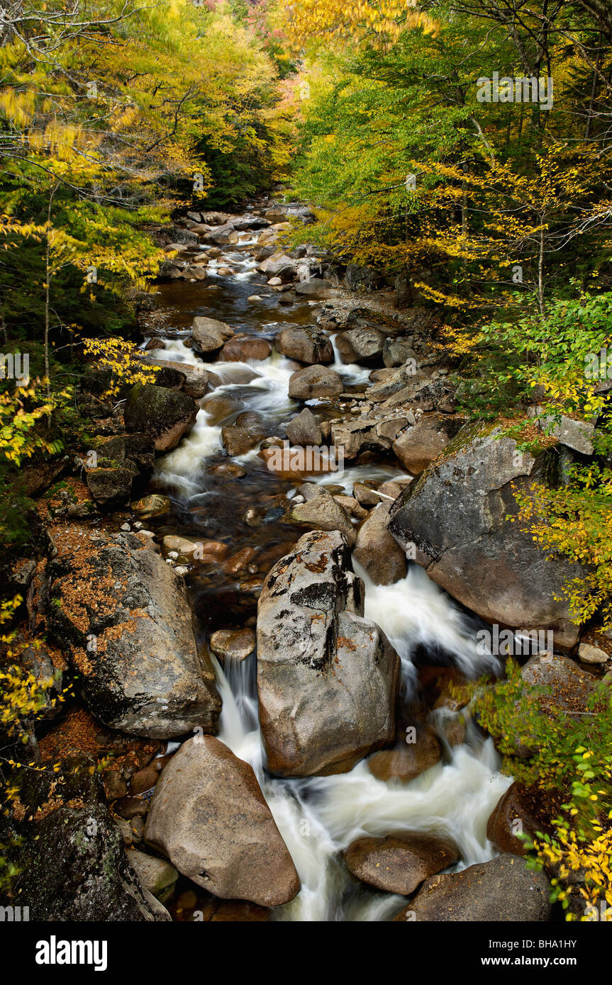 Herbst-Farbe bei Liberty Schlucht Kaskade im Franconia Notch State Park in Grafton County, New Hampshire Stockfoto