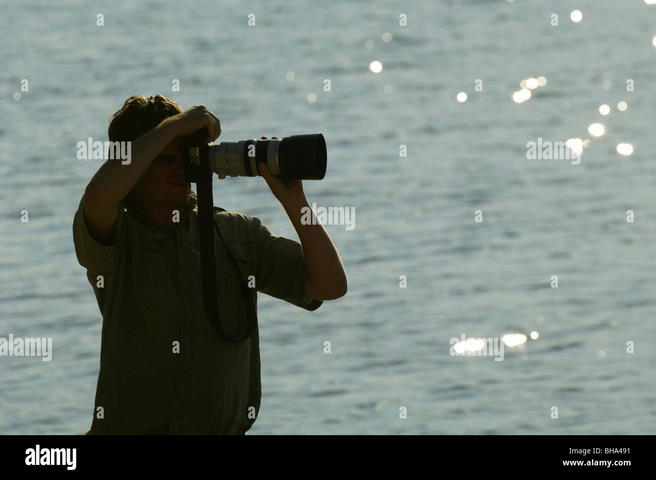 Fotografie Digitale Fotografie Hobby Sport Beruf professionell lernen Fotografie Anfänger Wildlife Fotografie ac Stockfoto