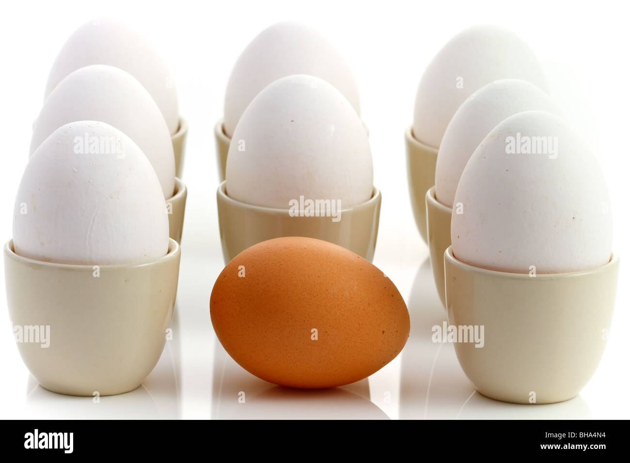Ein weißes Huhn braune Ei umgeben Eiern auf reflektierenden weißen Hintergrund Stockfoto