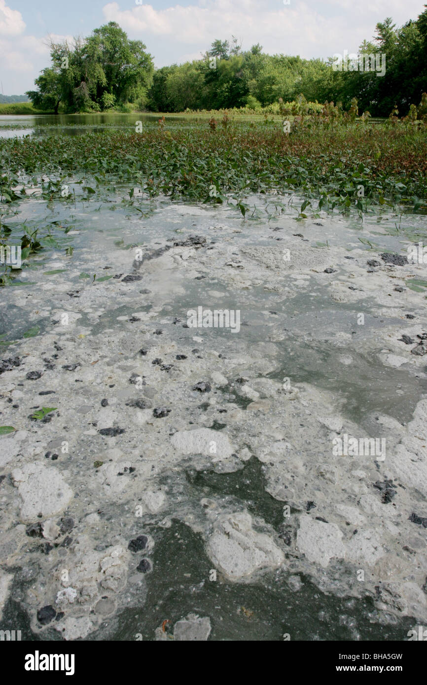 Verunreinigung des Wassers Stockfoto