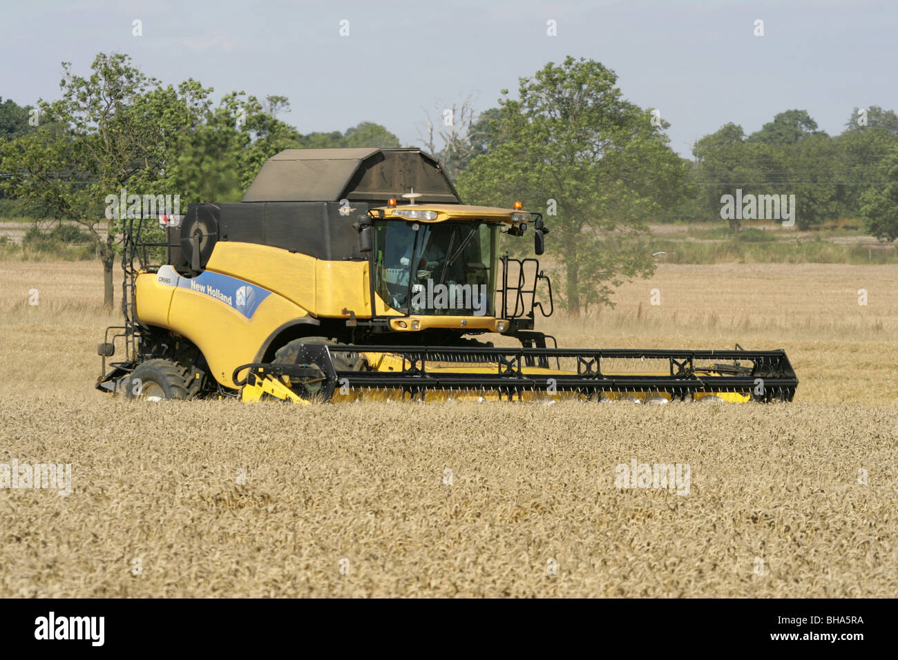 New Holland kombinieren Getreide ernten Stockfoto
