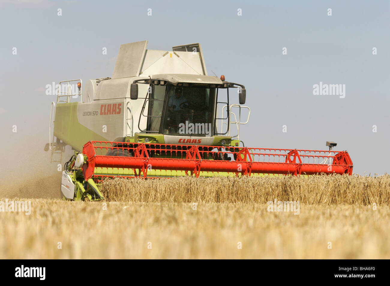 CLAAS Mähdrescher beim Ernten von Weizen Stockfoto