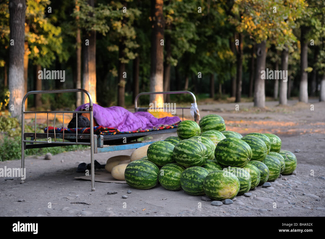 Wassermelonen-Verkäufer schlafen neben dem Produkt in Bischkek. Stockfoto