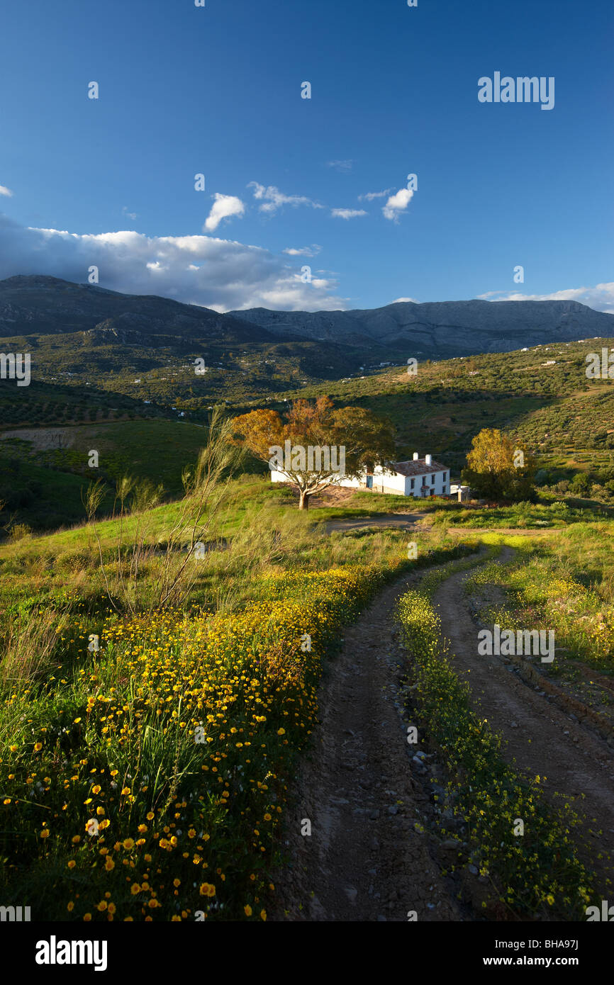 ein Haus auf dem Campo Nr. Los Molinos, Periana, Andalusien, Spanien Stockfoto