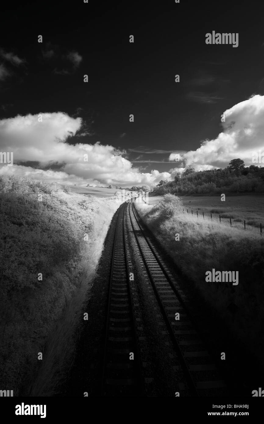 Train Tracks, Dorset, England, UK Stockfoto