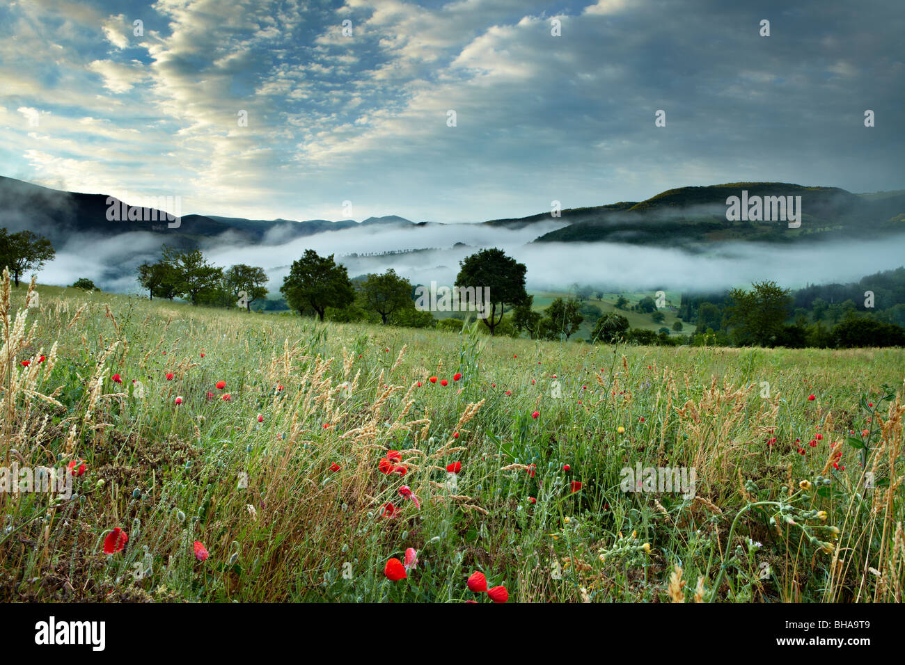 Nebel lag in der Valnerina Nr. Preci, Umbrien, Italien Stockfoto