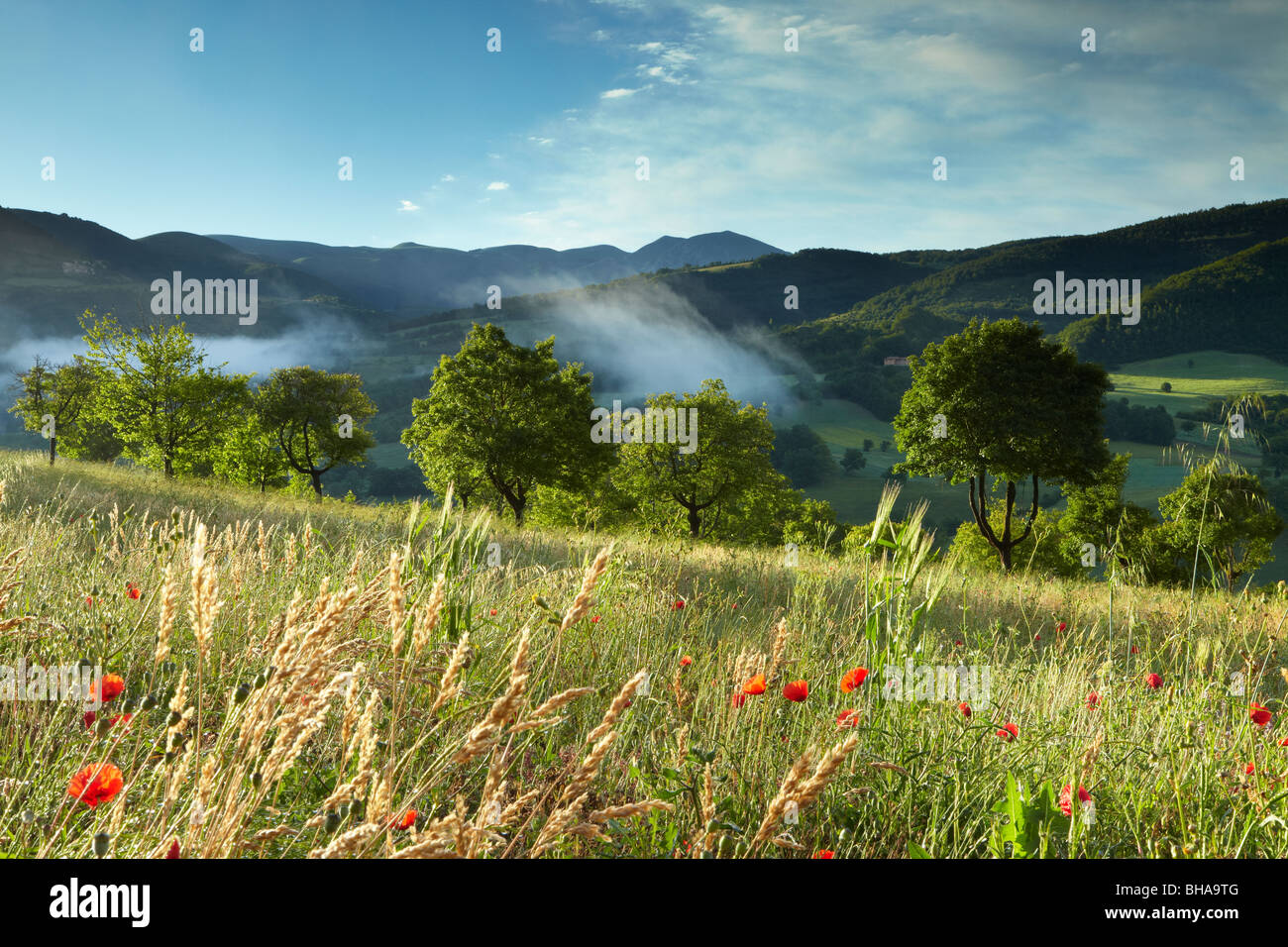 Nebel lag in der Valnerina Nr. Preci, Umbrien, Italien Stockfoto