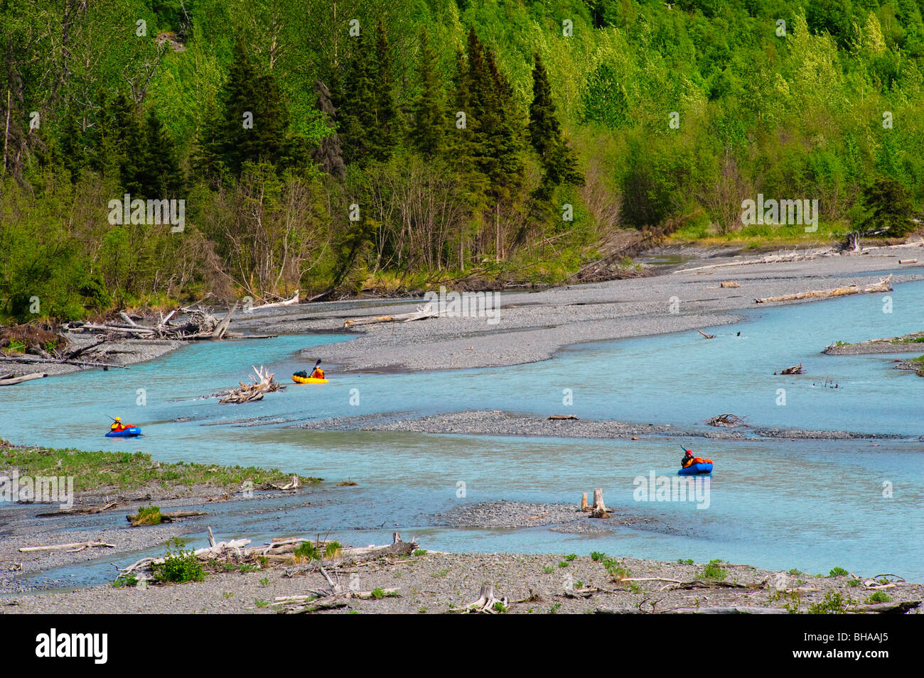 Packen Sie Sparren abschwimmend Eagle River im Chugach State Park, Yunan Alaska, Sommer Stockfoto