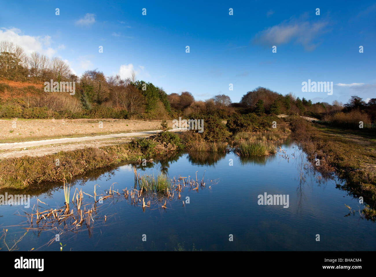 Wheal Jane Naturschutzgebiet; Cornwall Stockfoto