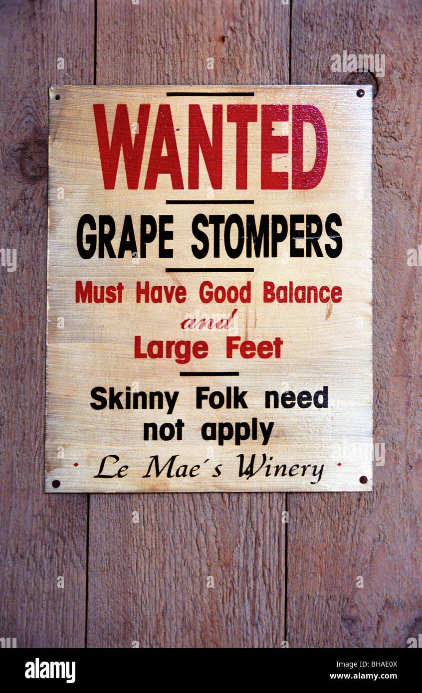 Lustige Poster im Weinberg auf lange Inseln North Fork Stockfotografie