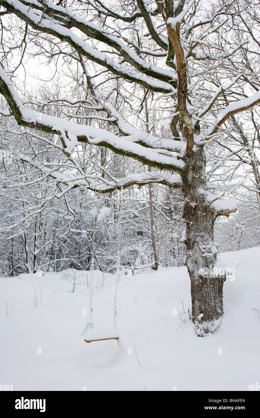 Schaukel mit Schnee im Winter, Schweden Stockfoto