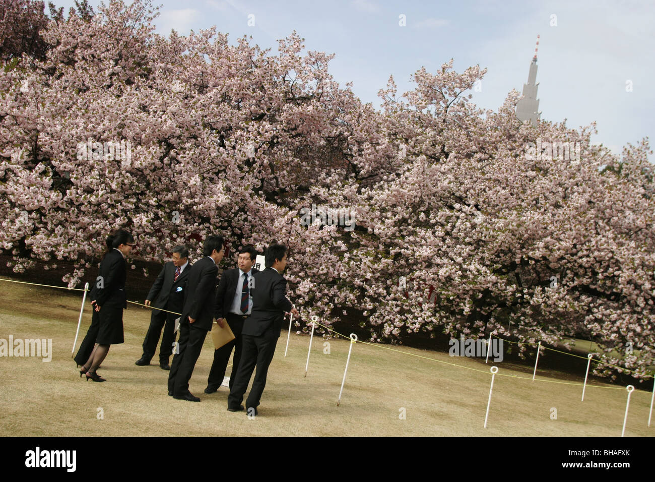 Gäste auf der "Sakura Hanami" (Blume Kirschblütenschau) Garten Party veranstaltet von Ministerpräsident Junichiro Koizumi, Tokio Stockfoto
