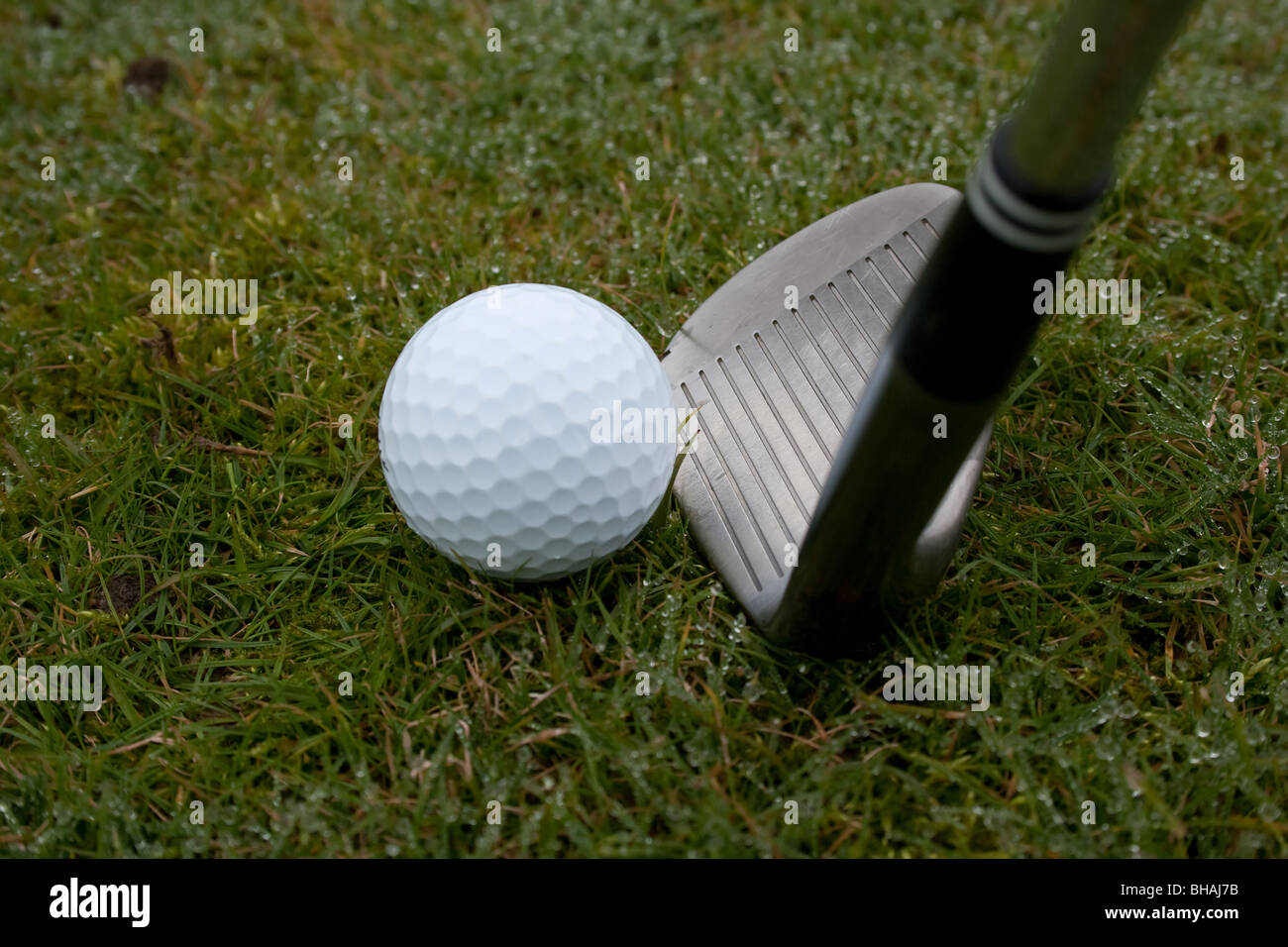 Golfball und Golfschläger Stockfoto